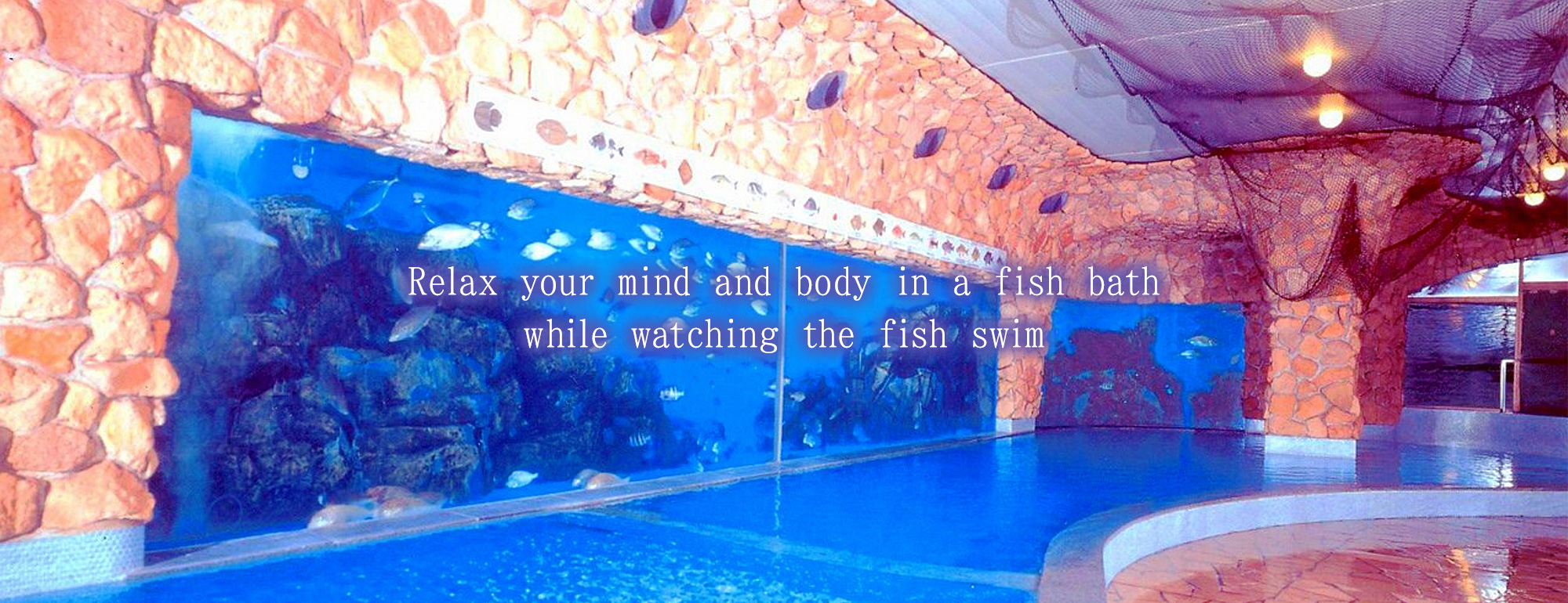 Relax your mind and body in a fish bath while watching the fish swim