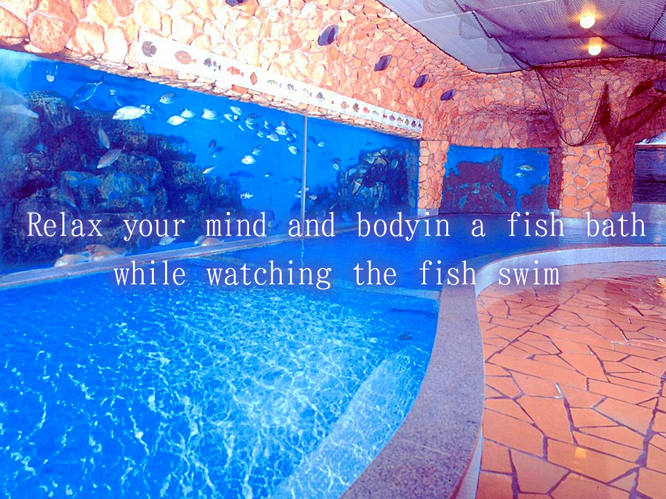 Relax your mind and body in a fish bath while watching the fish swim